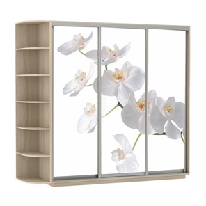 Шкаф Экспресс со стеллажом, 2100х600х2200, Орхидея белая/шимо светлый в Костроме