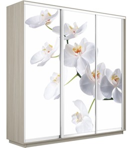 Шкаф 3-створчатый Экспресс 1800х600х2200, Орхидея белая/шимо светлый в Костроме
