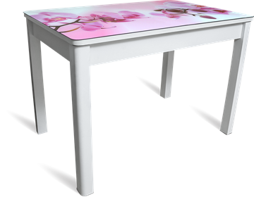 Кухонный стол раздвижной Айсберг мини СТФ, белое лдсп/орхидея/40 прямые массив белые в Костроме