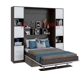 Кровать-шкаф с диваном DetalMaster Бела 1, с полкой ножкой, 1200х2000, венге/белый в Костроме