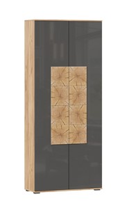 Шкаф двухстворчатый Фиджи с декоративными накладками 659.310, Дуб Золотой/Антрацит в Костроме