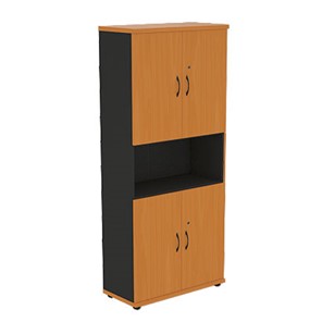 Шкаф для бумаг Моно-Люкс R5S22 в Костроме