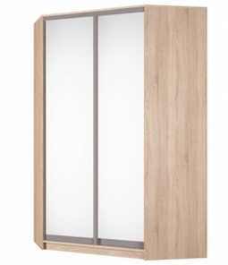 Угловой шкаф-купе Аларти (YA-230х1400(602) (10) Вар. 5; двери D5+D5), с зеркалом в Костроме - предосмотр