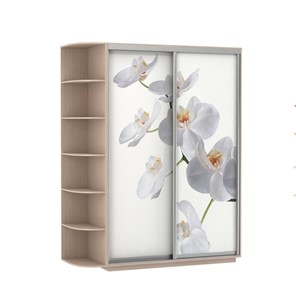 Шкаф 2-х створчатый Экспресс 1900x600x2200, со стеллажом, Орхидея белая/дуб молочный в Костроме