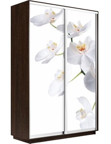 Шкаф Экспресс 1400x600x2400, Орхидея белая/венге в Костроме