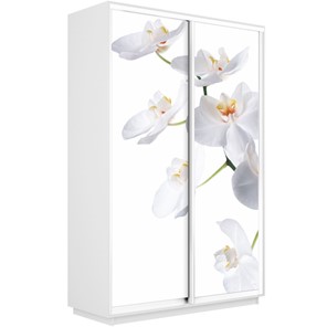 Шкаф 2-х створчатый Экспресс 1600x450x2400, Орхидея белая/белый снег в Костроме