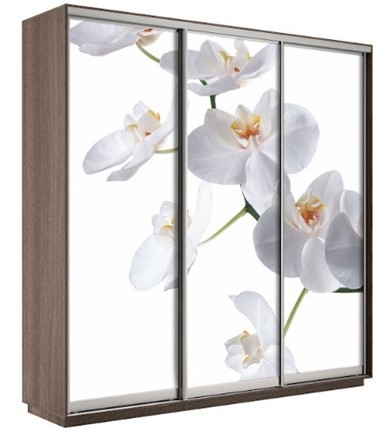Шкаф трехдверный Экспресс 1800х600х2200, Орхидея бела/шимо темный в Костроме - изображение