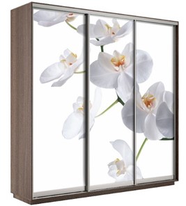 Шкаф 3-х створчатый Экспресс 1800х600х2400, Орхидея белая/шимо темный в Костроме