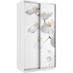 Шкаф 2-х дверный Хит 1200x600x2200, белая орхидея, белый снег в Костроме