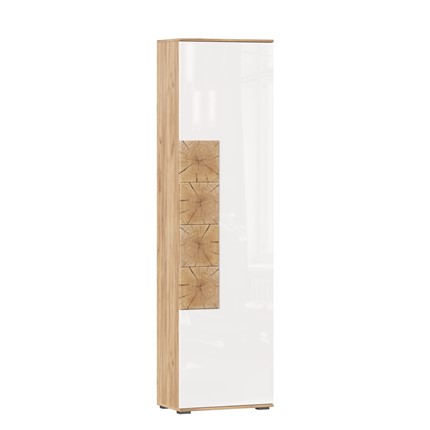 Шкаф одностворчатый Фиджи, 659300, белый/дуб золотой в Костроме - изображение