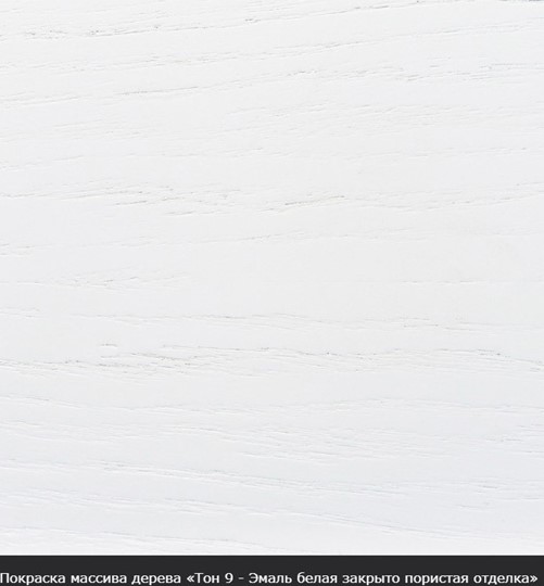 Стол раздвижной Фабрицио-1 исп. Круг 820, Тон 9 (Морилка/Эмаль) в Костроме - изображение 16