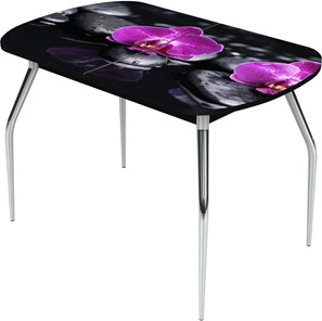 Кухонный стол раздвижной Ривьера исп.1 ноги метал. крашеные №24 Фотопечать (Цветы №14) в Костроме
