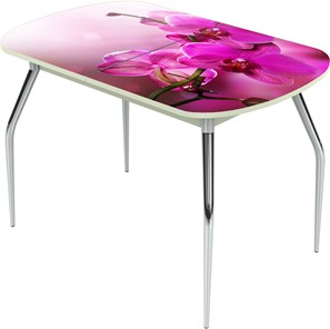 Кухонный раздвижной стол Ривьера исп.1 ноги метал. крашеные №24 Фотопечать (Цветы №16) в Костроме