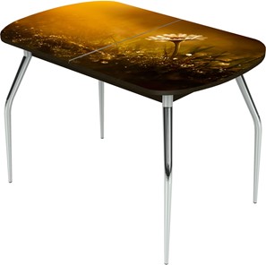 Кухонный раскладной стол Ривьера исп.2 ноги метал. крашеные №24 Фотопечать (Цветы №43) в Костроме