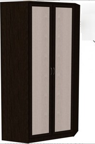 Распашной шкаф 403 несимметричный, цвет Венге в Костроме - предосмотр