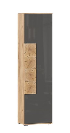 Шкаф одностворчатый Фиджи с декоративными накладками 659.300, Дуб Золотой/Антрацит в Костроме - изображение