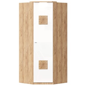 Шкаф угловой 45 с декоративной накладкой Фиджи, 659.248, белый в Костроме - предосмотр