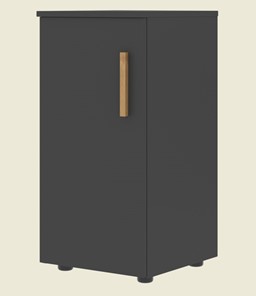 Низкий шкаф колонна с глухой дверью левой FORTA Черный Графит FLC 40.1 (L) (399х404х801) в Костроме