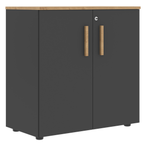 Низкий шкаф с малыми дверцами широкий FORTA Графит-Дуб Гамильтон  FLC 80.1(Z) (798х404х801) в Костроме