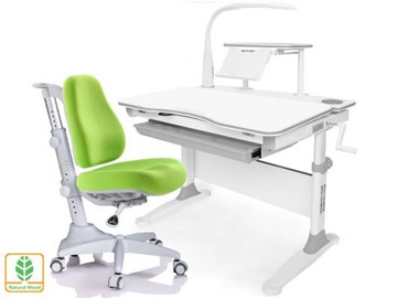Растущая парта + стул Mealux EVO Evo-30 G (арт. Evo-30 G + Y-528 KZ) (дерево)/(стол+полка+кресло+чехол+лампа)/ белая столешница (дерево), цвет пластика серый в Костроме